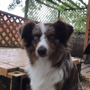 Meet your Posher, Jordan